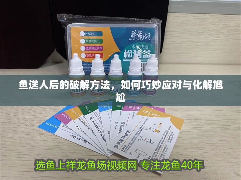 魚(yú)送人后的破解方法，如何巧妙應(yīng)對(duì)與化解尷尬