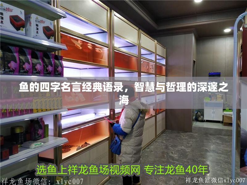魚的四字名言經典語錄，智慧與哲理的深邃之海