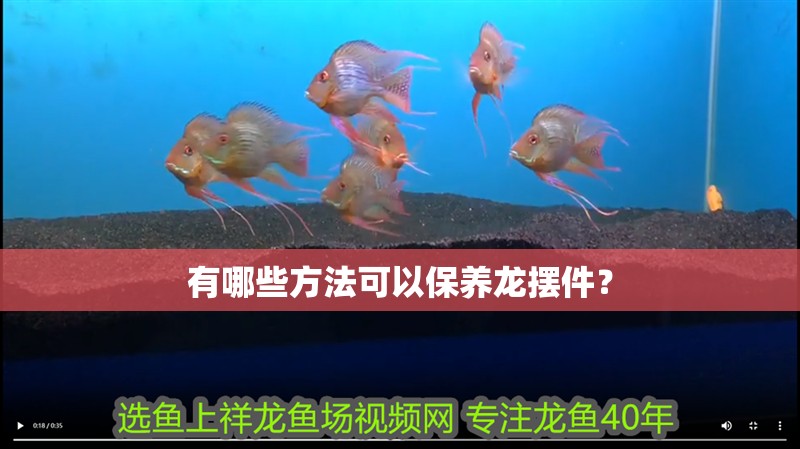 我的虎魚真菌感染了要怎么處理 有哪些方法可以保養龍擺件? 龍魚百科 有哪些方法可以保養龍擺件? 有哪些方法可以保養龍擺件? 龍魚百科