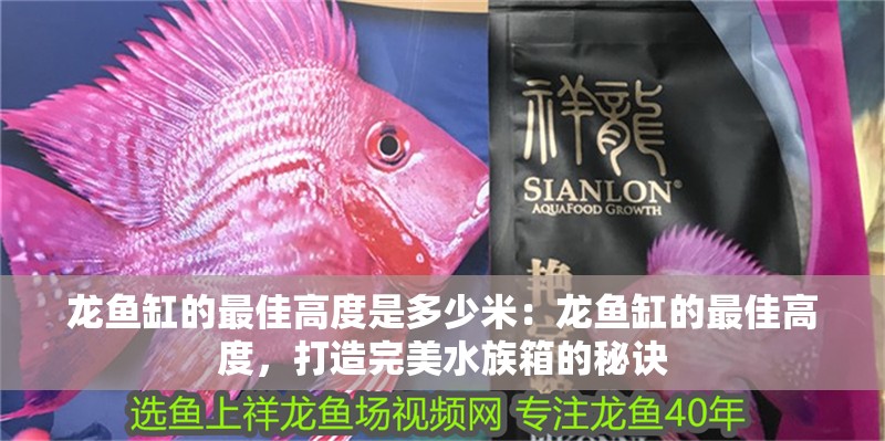 龍魚缸的最佳高度是多少米：龍魚缸的最佳高度，打造完美水族箱的秘訣