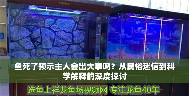 魚死了預(yù)示主人會出大事嗎？從民俗迷信到科學(xué)解釋的深度探討