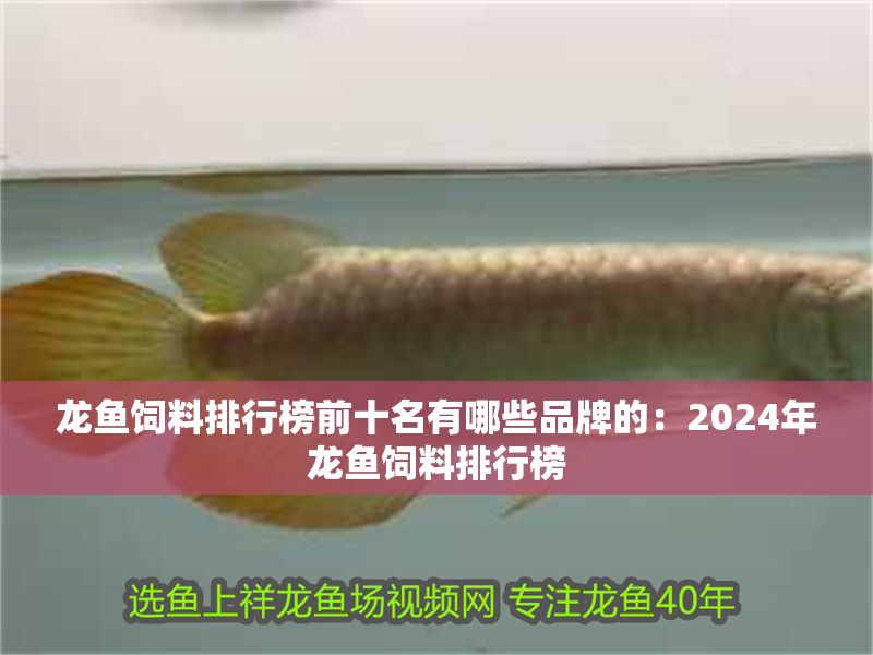 龍魚飼料排行榜前十名有哪些品牌的：2024年龍魚飼料排行榜 龍魚飼料排行榜前十名有哪些品牌的：2024年龍魚飼料排行榜 龍魚百科 第2張