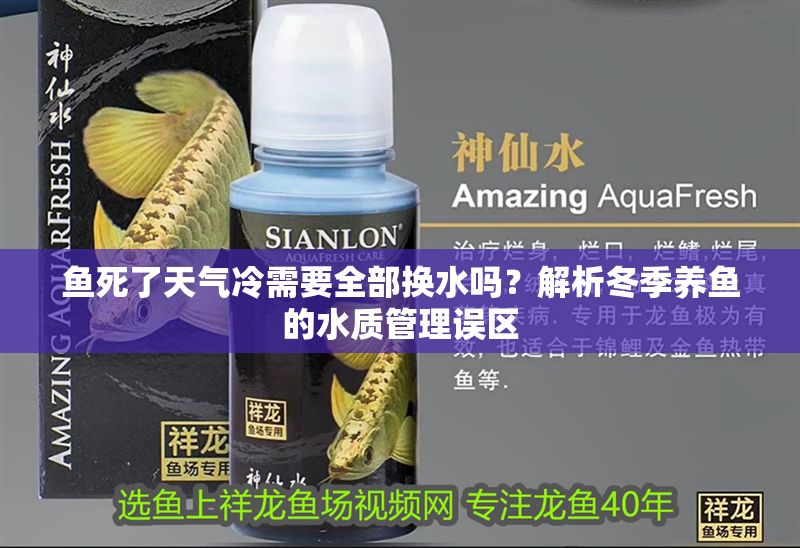 魚死了天氣冷需要全部換水嗎？解析冬季養魚的水質管理誤區 魚死了天氣冷需要全部換水嗎？解析冬季養魚的水質管理誤區 龍魚百科 第1張
