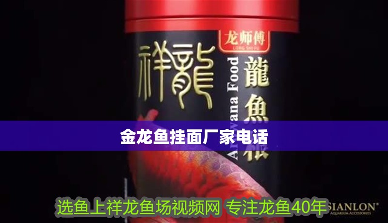 金龍魚掛面廠家電話