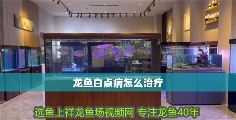 龍魚白點病怎么治療