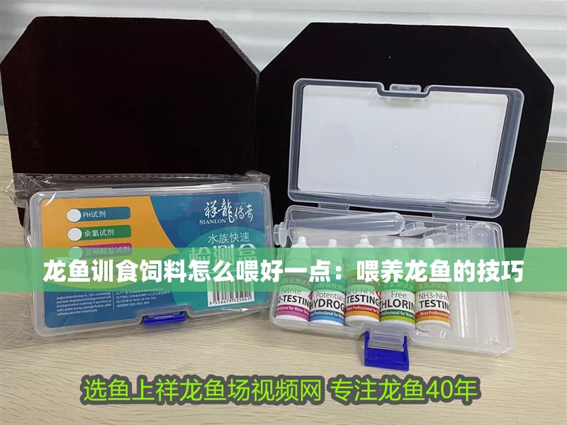 龍魚訓食飼料怎么喂好一點：喂養龍魚的技巧