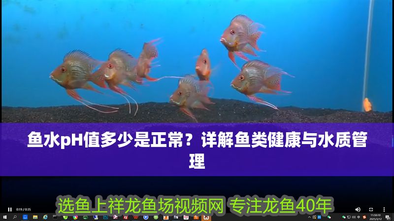 魚水pH值多少是正常？詳解魚類健康與水質管理