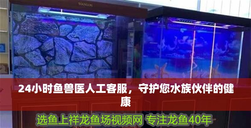 24小時魚獸醫(yī)人工客服，守護您水族伙伴的健康