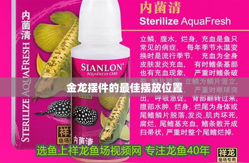 金龍擺件的最佳擺放位置