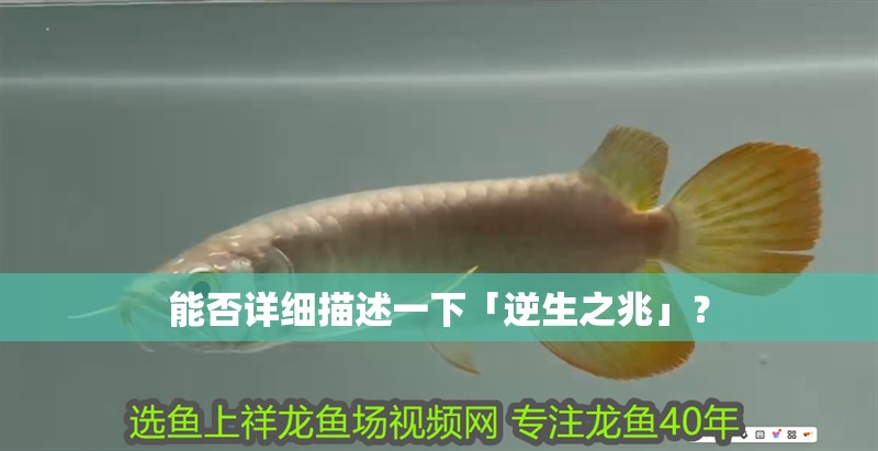 能否詳細(xì)描述一下「逆生之兆」？