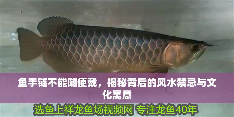 魚手鏈不能隨便戴，揭秘背后的風水禁忌與文化寓意 魚手鏈不能隨便戴，揭秘背后的風水禁忌與文化寓意 龍魚百科 第1張