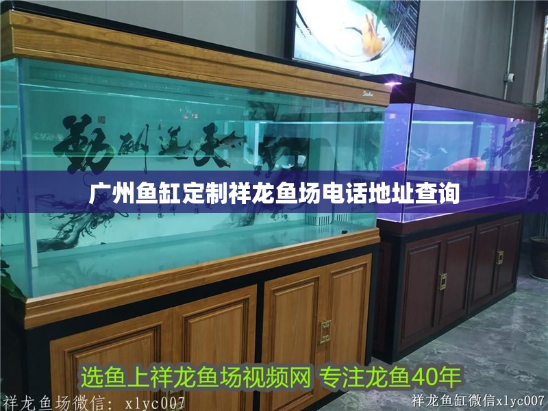 廣州魚缸定制祥龍魚場電話地址查詢