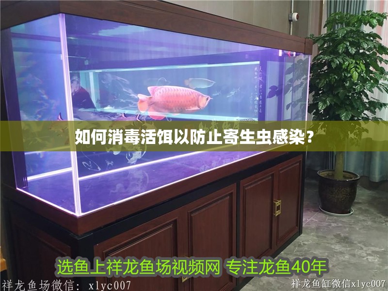 如何消毒活餌以防止寄生蟲感染？