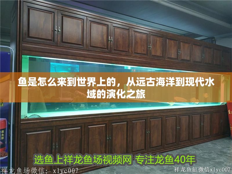 魚是怎么來到世界上的，從遠古海洋到現(xiàn)代水域的演化之旅 魚是怎么來到世界上的，從遠古海洋到現(xiàn)代水域的演化之旅 龍魚百科 第1張