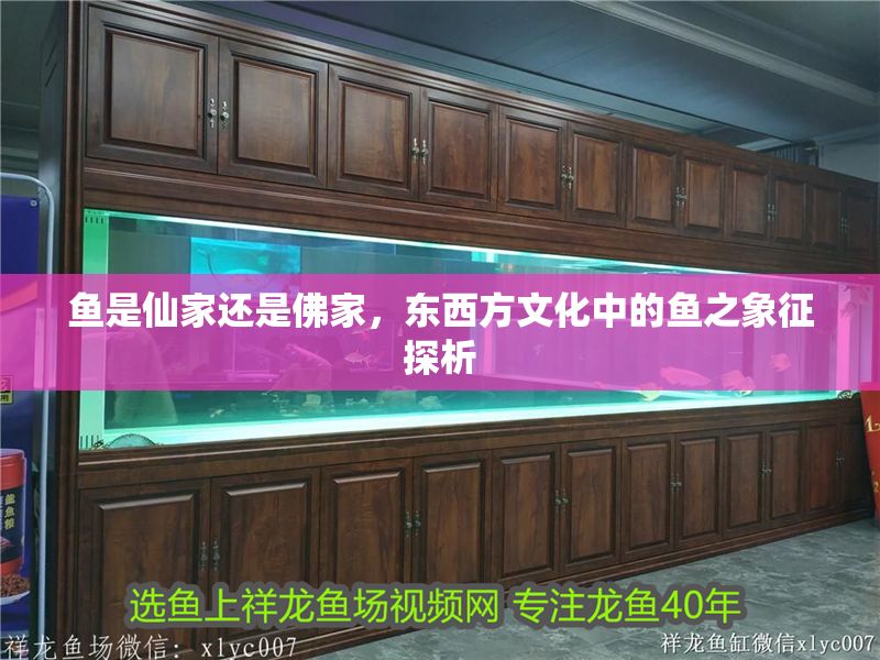 魚是仙家還是佛家，東西方文化中的魚之象征探析