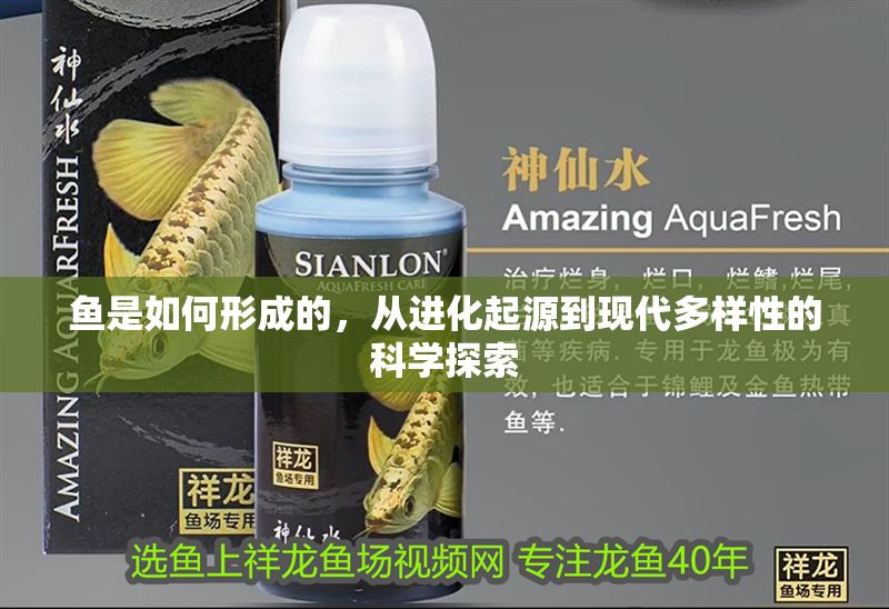 魚是如何形成的，從進化起源到現代多樣性的科學探索