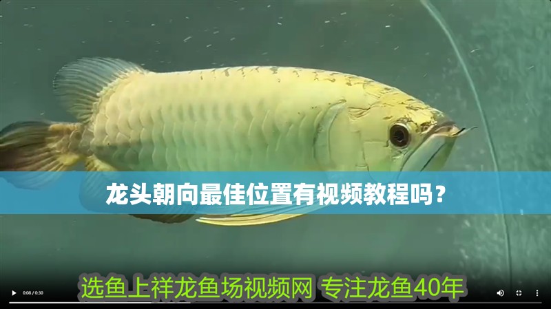 龍頭朝向最佳位置有視頻教程嗎？ 龍頭朝向最佳位置有視頻教程嗎？ 龍魚百科