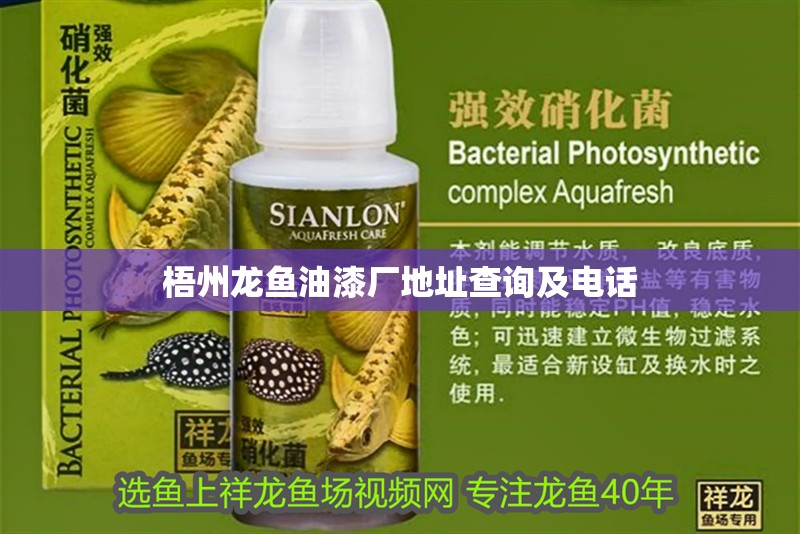 梧州龍魚油漆廠地址查詢及電話