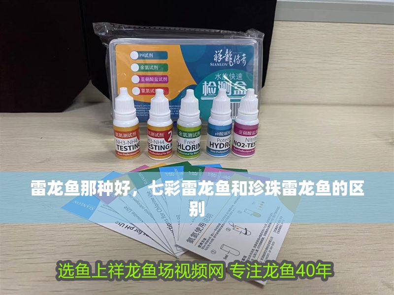 雷龍魚那種好，七彩雷龍魚和珍珠雷龍魚的區別