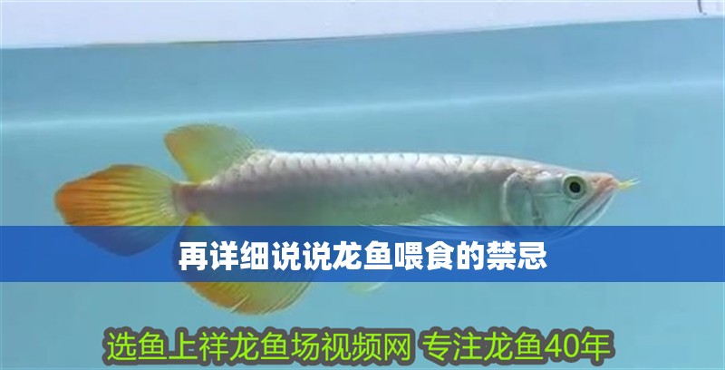 再詳細說說龍魚喂食的禁忌