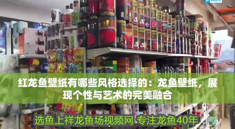 紅龍魚壁紙有哪些風(fēng)格選擇的：龍魚壁紙，展現(xiàn)個(gè)性與藝術(shù)的完美融合