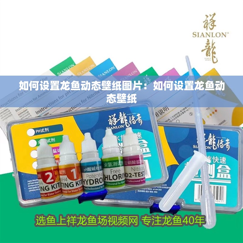 如何設置龍魚動態(tài)壁紙圖片：如何設置龍魚動態(tài)壁紙