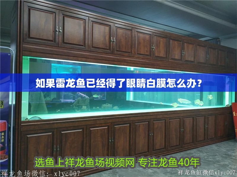 如果雷龍魚已經得了眼睛白膜怎么辦？