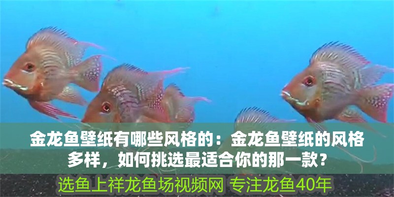 金龍魚壁紙有哪些風(fēng)格的：金龍魚壁紙的風(fēng)格多樣，如何挑選最適合你的那一款？