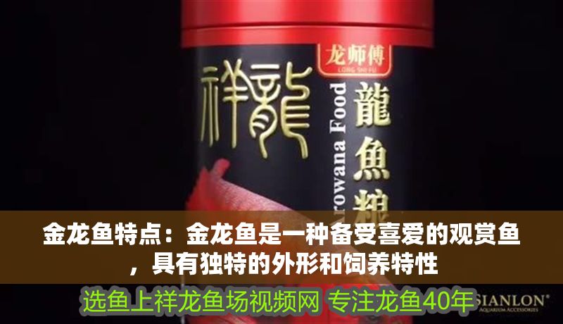 金龍魚特點：金龍魚是一種備受喜愛的觀賞魚，具有獨特的外形和飼養特性