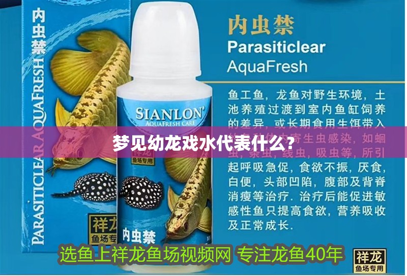 夢見幼龍戲水代表什么？ 夢見幼龍戲水代表什么？ 龍魚百科