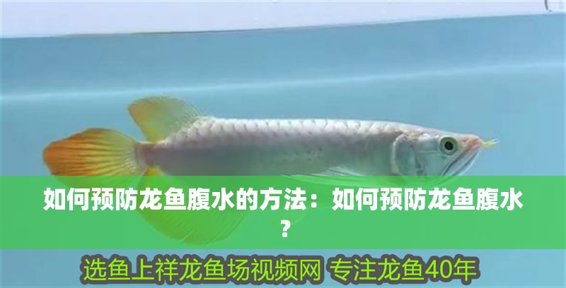 如何預防龍魚腹水的方法：如何預防龍魚腹水？