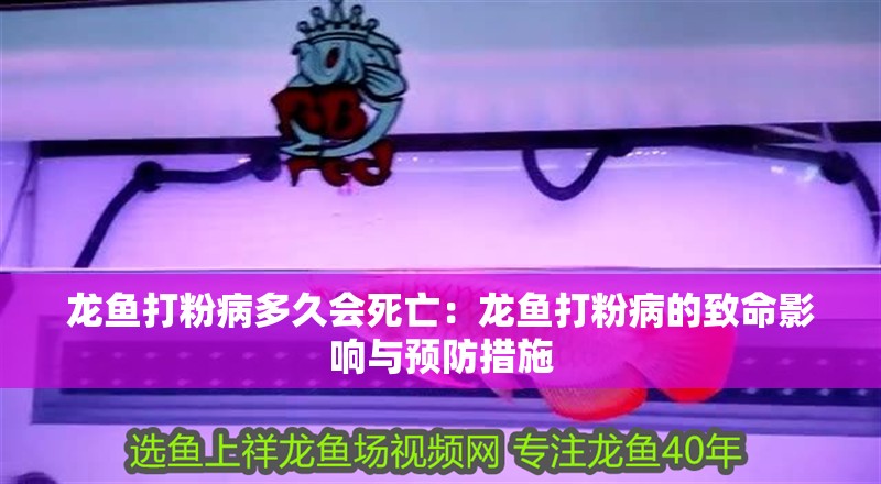 龍魚(yú)打粉病多久會(huì)死亡：龍魚(yú)打粉病的致命影響與預(yù)防措施