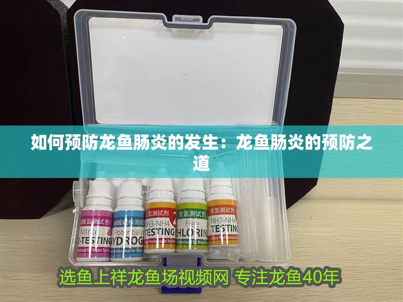 如何預防龍魚腸炎的發生：龍魚腸炎的預防之道