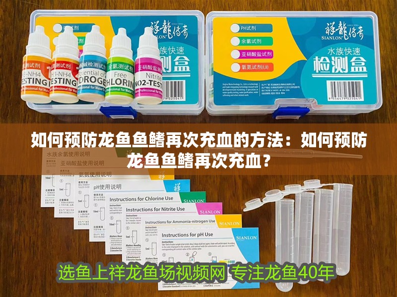 如何預(yù)防龍魚魚鰭再次充血的方法：如何預(yù)防龍魚魚鰭再次充血？