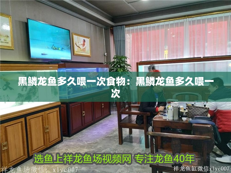 黑鱗龍魚多久喂一次食物：黑鱗龍魚多久喂一次