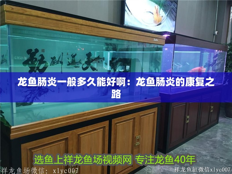 龍魚(yú)腸炎一般多久能好?。糊堲~(yú)腸炎的康復(fù)之路