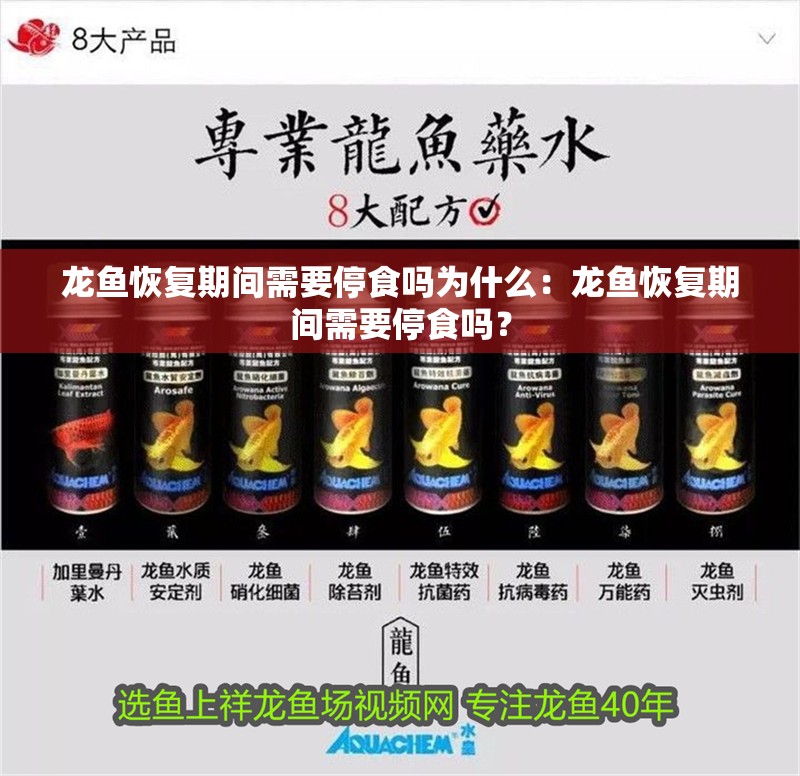 龍魚恢復(fù)期間需要停食嗎為什么：龍魚恢復(fù)期間需要停食嗎？