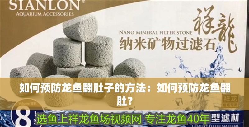 如何預防龍魚翻肚子的方法：如何預防龍魚翻肚？