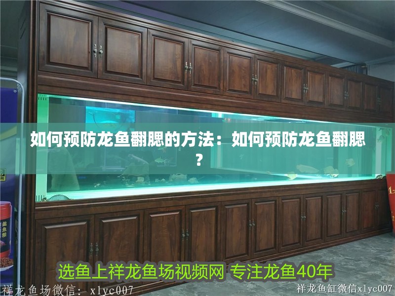 如何預(yù)防龍魚(yú)翻腮的方法：如何預(yù)防龍魚(yú)翻腮？