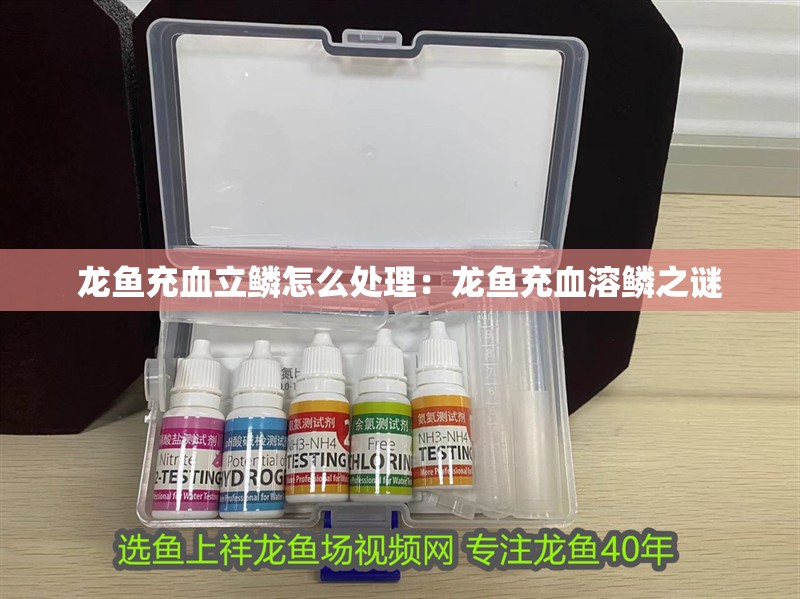 龍魚充血立鱗怎么處理：龍魚充血溶鱗之謎