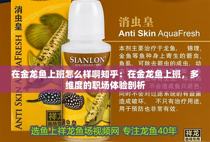 在金龍魚上班怎么樣啊知乎：在金龍魚上班，多維度的職場體驗剖析