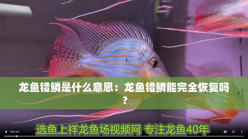 龍魚(yú)錯(cuò)鱗是什么意思：龍魚(yú)錯(cuò)鱗能完全恢復(fù)嗎？
