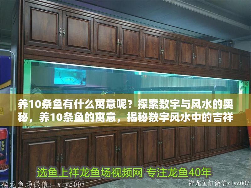 養(yǎng)10條魚(yú)有什么寓意呢？探索數(shù)字與風(fēng)水的奧秘，養(yǎng)10條魚(yú)的寓意，揭秘?cái)?shù)字風(fēng)水中的吉祥象征