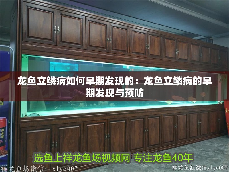 龍魚立鱗病如何早期發現的：龍魚立鱗病的早期發現與預防