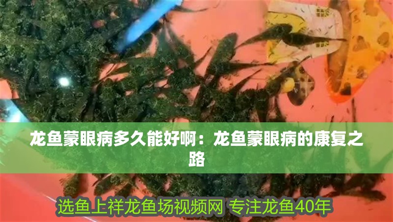 龍魚蒙眼病多久能好?。糊堲~蒙眼病的康復之路