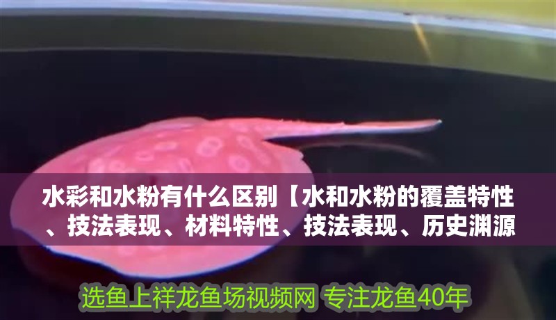 水彩和水粉有什么區別【水和水粉的覆蓋特性、技法表現、材料特性、技法表現、歷史淵源】 水彩和水粉有什么區別【水和水粉的覆蓋特性、技法表現、材料特性、技法表現、歷史淵源】 龍魚論壇