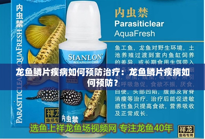 龍魚鱗片疾病如何預防治療：龍魚鱗片疾病如何預防？