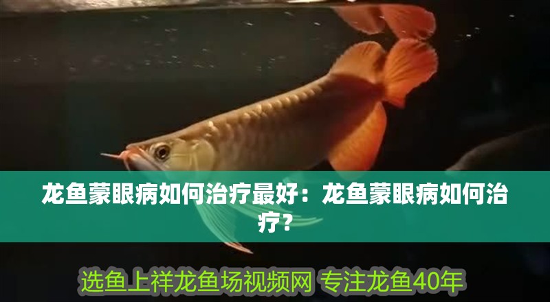 龍魚(yú)蒙眼病如何治療最好：龍魚(yú)蒙眼病如何治療？