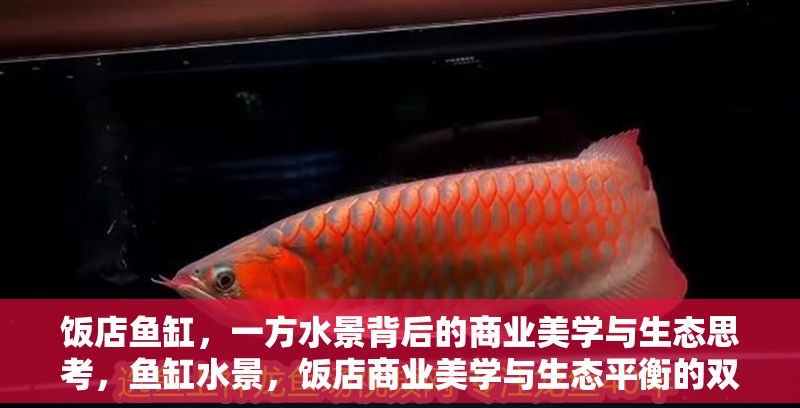 飯店魚缸，一方水景背后的商業美學與生態思考，魚缸水景，飯店商業美學與生態平衡的雙重鏡鑒