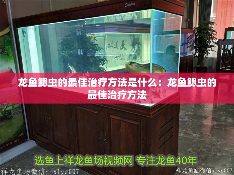 龍魚鰓蟲的最佳治療方法是什么：龍魚鰓蟲的最佳治療方法